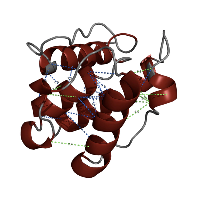 Using Structural Protein Features for Long- and Medium-Range Contact Prediction